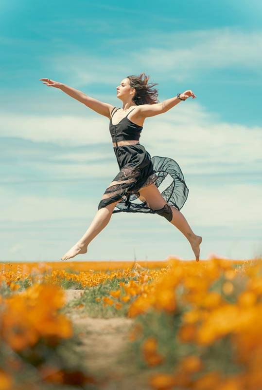 Somatic Therapy Chicago